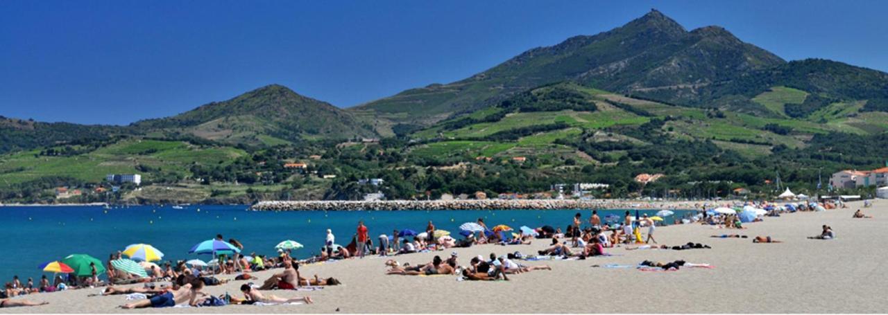 Maison Charmante A Argeles Sur Mer Pres De La Plage Avec Piscine Partagee Eksteriør bilde